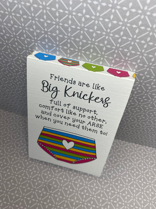 Big Knickers Little Book